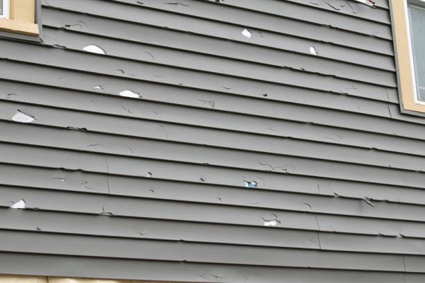 Best Property Management Cleanouts  in Chittenango, NY