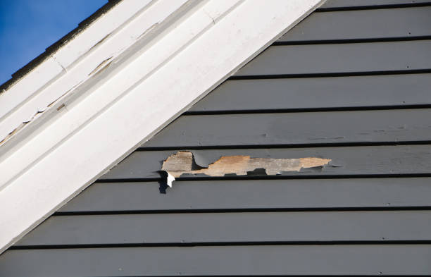  Chittenango, NY Junk Removal Pros